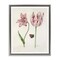 Stupell Industries Classic Tulip & Butterfly Framed Floater Canvas Wall Art Design by Jacob Marrel